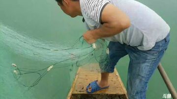 水库收大网！鱼真的多！ 2017-06-14 13点场