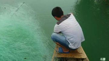 水库收大网！鱼真的多！ 2017-06-14 11点场