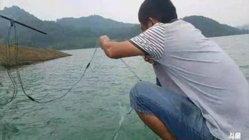 水库收大网！鱼真的多！ 2017-06-14 15点场