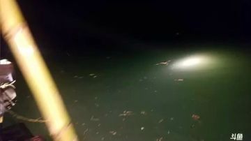 x鱼我们好久没激情了。 2017-06-14 22点场