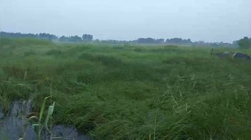 【甲鱼钓】能不能上货，给点力 2017-06-15 05点场