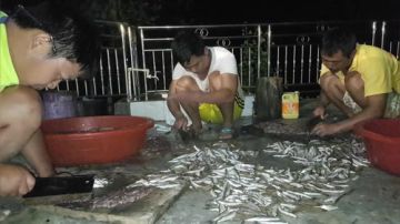 捕鱼：一网千杀！多不多？自己来看 2017-06-19 02点场