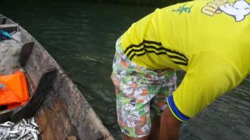 捕鱼：一网千杀！多不多？自己来看 2017-06-19 09点场