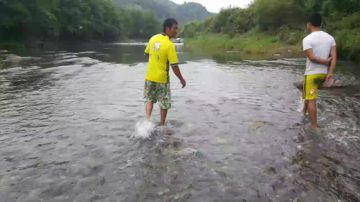 清水围桂鱼！货真的多！ 2017-06-19 12点场