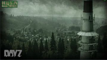 僵尸末日 dayz0.62 2017-06-19 16点场