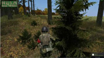 僵尸末日 dayz0.62 2017-06-17 15点场