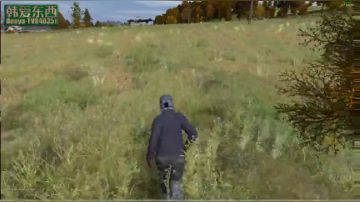 僵尸末日 dayz0.62 2017-06-20 19点场