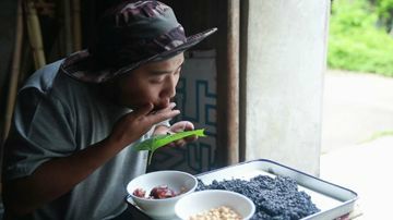 一小碗乌米饭，还是熟悉的味道