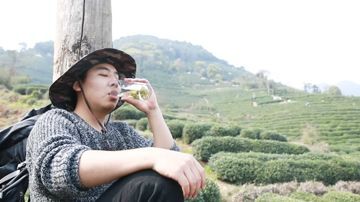 搞点龙井茶喝