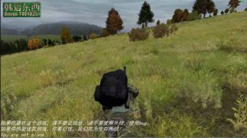 僵尸末日 dayz0.62 2017-06-23 17点场