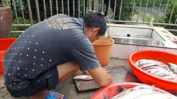 起早奋斗，发家致富。 2017-06-24 08点场