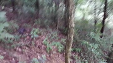 水库地笼渔网，正在出货中 2017-06-25 17点场