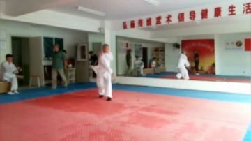 太极形意（青峰传统武术会馆）直播室 2017-06-29 08点场