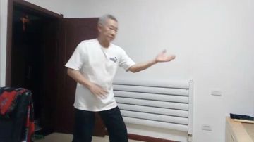 太极形意（青峰传统武术会馆）直播室 2017-06-29 20点场