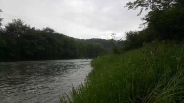 清蒸翘嘴，清汤水蜂子，香辣虾蟹 2017-06-30 16点场