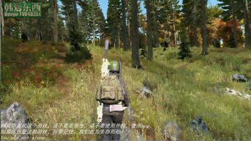 僵尸末日 dayz0.62 2017-06-30 11点场