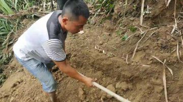 最效率挖竹鼠！马上出货！！！ 2017-07-01 11点场