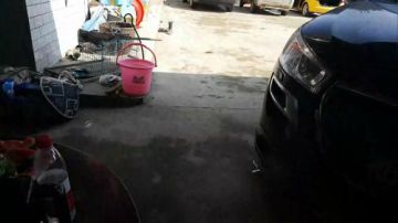 涨水被冲跑的地笼，有惊喜 2017-07-01 15点场