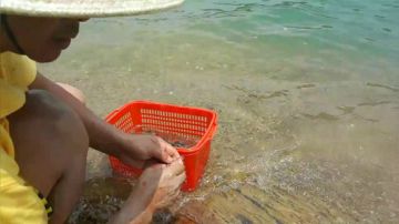 寻找山林美味 2017-07-02 12点场