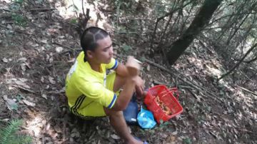 寻找山林美味 2017-07-02 14点场