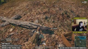 You jump, I jump!!! 2017-07-03 19点场