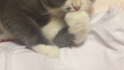 lilithxy发布了一个斗鱼视频2017-07-06