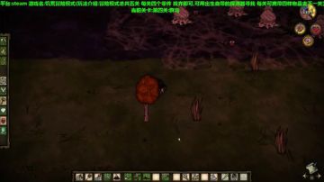 【饥荒】无mod冒险模式小蜘蛛 2017-07-08 10点场
