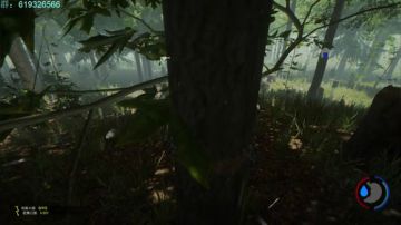 森林—the Forest！！！ 2017-07-08 14点场