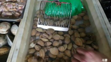 【威海大叔】海鲜！走起！ 2017-07-09 14点场