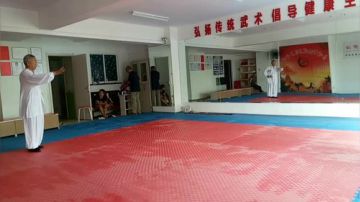 太极形意（青峰传统武术会馆）直播室 2017-07-11 08点场