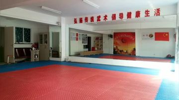 太极形意（青峰传统武术会馆）直播室 2017-07-05 07点场