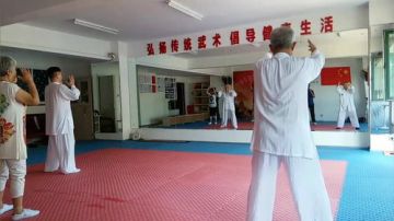太极形意（青峰传统武术会馆）直播室 2017-07-04 08点场