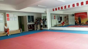 太极形意（青峰传统武术会馆）直播室 2017-07-11 09点场
