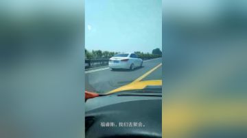 低趴福睿斯