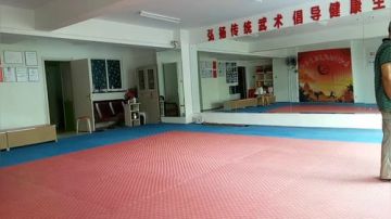 太极形意（青峰传统武术会馆）直播室 2017-07-15 08点场