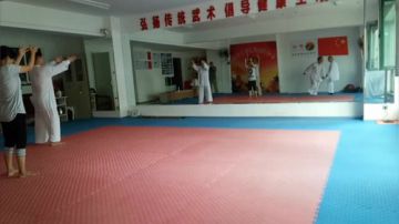 太极形意（青峰传统武术会馆）直播室 2017-07-15 08点场