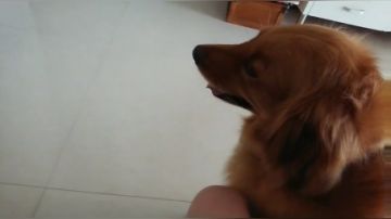 今天的节目:生化厨房 2017-07-14 12点场