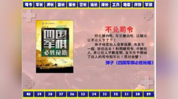 弹子讲棋之不兑司令
