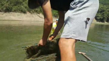 烈日炎炎，鱼获多多！ 2017-07-18 10点场