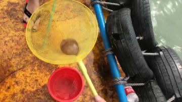 【翔凯】我的世界建筑峰会 2017-07-18 14点场