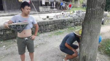 烈日炎炎，鱼获多多！ 2017-07-18 12点场