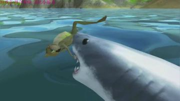 怎么会有鲨鱼！