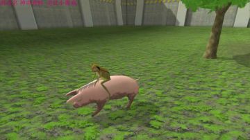 我是骑猪的追风少年！