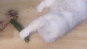。。。。。。