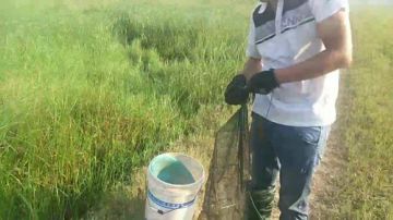 【户外】疯狂输出 2017-07-17 06点场
