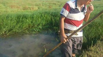 【户外】爆鱼，爆虾，爆黄鳝 2017-07-18 06点场