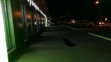 姐夫第一天试播老铁们 2017-07-20 00点场