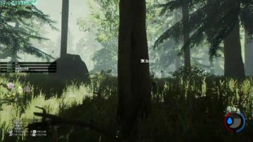 森林，森林，森林，the Forest！ 2017-07-19 10点场