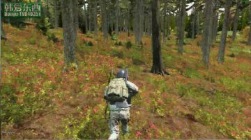 僵尸末日 dayz0.62 2017-07-22 11点场