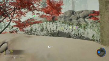 森林，森林，森林，the Forest! 2017-07-26 14点场